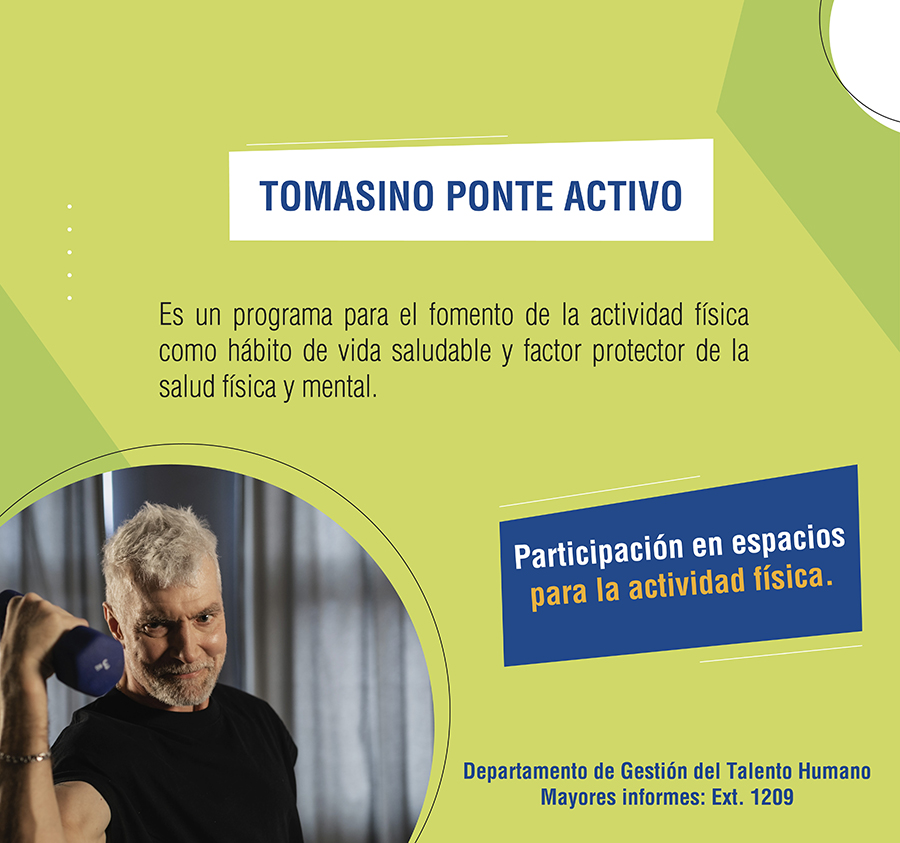 TOMASINO PONTE ACTIVO